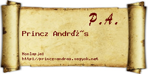 Princz András névjegykártya